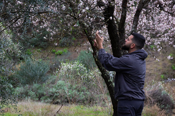 Young man taking flowers from almond tree. Handsome hipster in sportswear in contact with nature