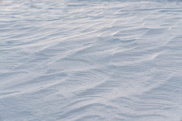 雪紋・シュカプラ