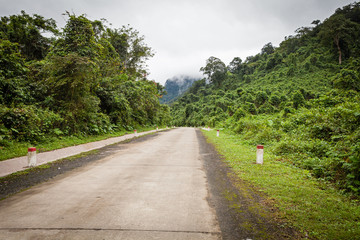Fototapeta na wymiar Road through the jungle, Ke-Bang National Park, Phong Nha, Vietnam