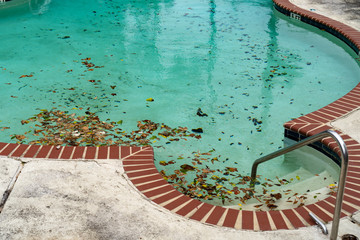 Dirty pool sits unattended covered in leaves