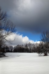 winter landscape with trees - nature photography