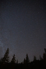 astrophotography starry night sky with trees silhouetted