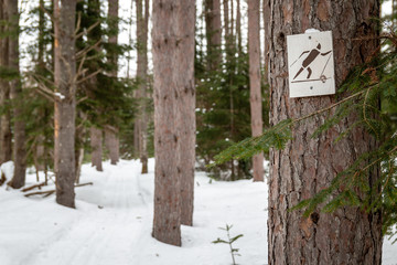 A ski trail in Northern Maine.