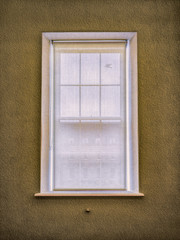 Window Shade