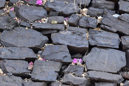 old brick wall with fallen leaves