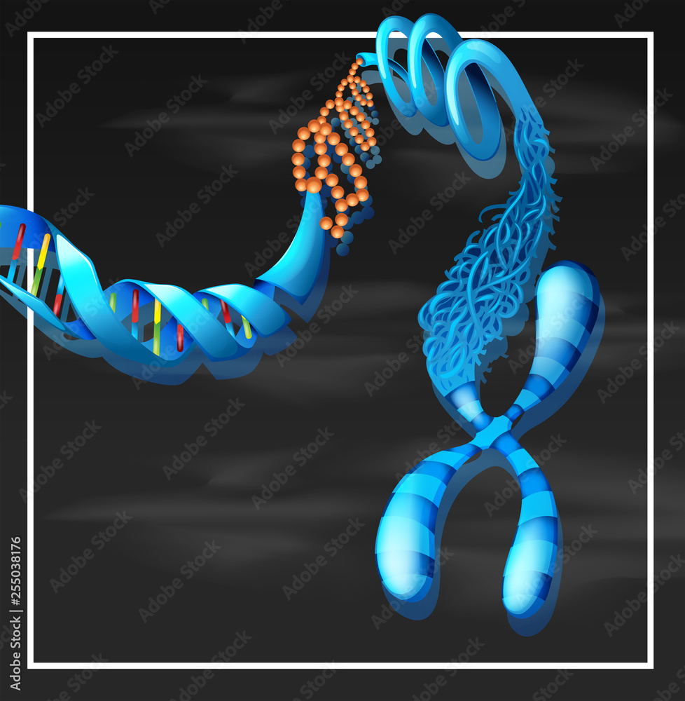 Poster a dna background template