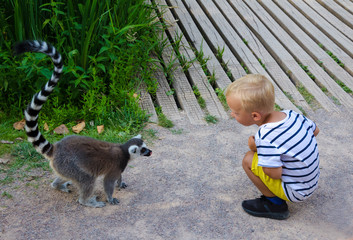 Little boy looks at lemur © alexandralarina