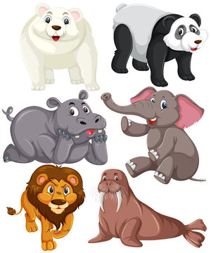 Set of animal character