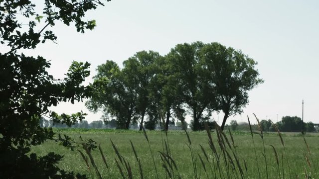 Northern Italy countryside, windy day BMCC 25p Apple ProREs 4:2:2