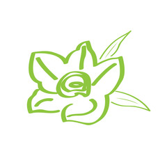 Isolated flower icon. Spa logo. Vector illustration design