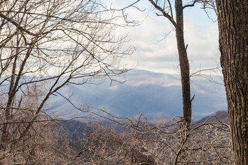 Snow covered ridge line with blue sky background in the Great Smoky Mountains
