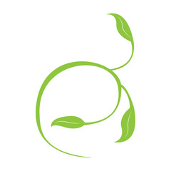 Isoalted leaves icon. Spa logo. Vector illustration design