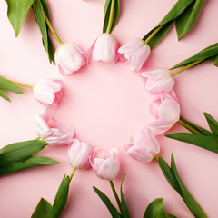 Pastel pink tulip flowers bouquet round border on pink background. Flat lay, top view. Minimal floral springtime flatlay concept