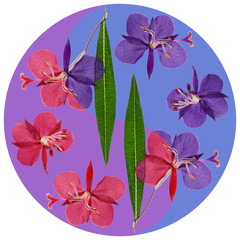 Floral Yin Yang symbol.