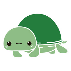 quirky hand drawn cartoon turtle
