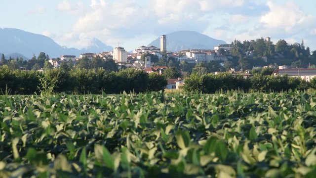 San Daniele del Friuli ft7108_0362 Italia