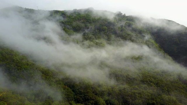 Slow motion drone aerial over rolling green hills covered in trees and soft moving clouds.