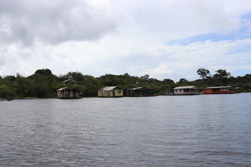 Obraz premium florest Amazonic Brazil