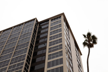 building and palm tree La Jolla california