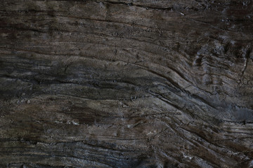 Fototapeta na wymiar Texture - a bark of an old tree