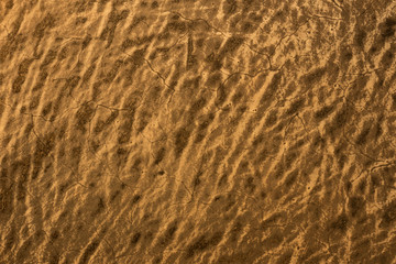 old Wool texture ugly