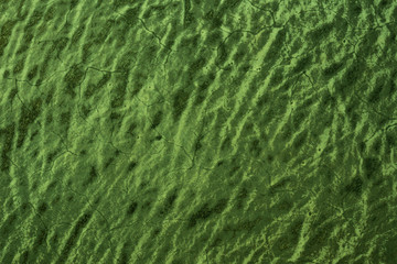 old Wool texture ugly