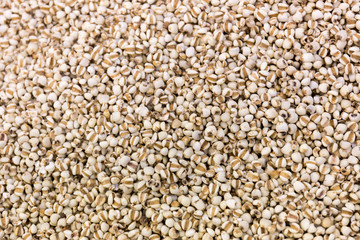 Job's tears, Millet grains, Organic.