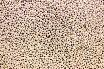white pepper