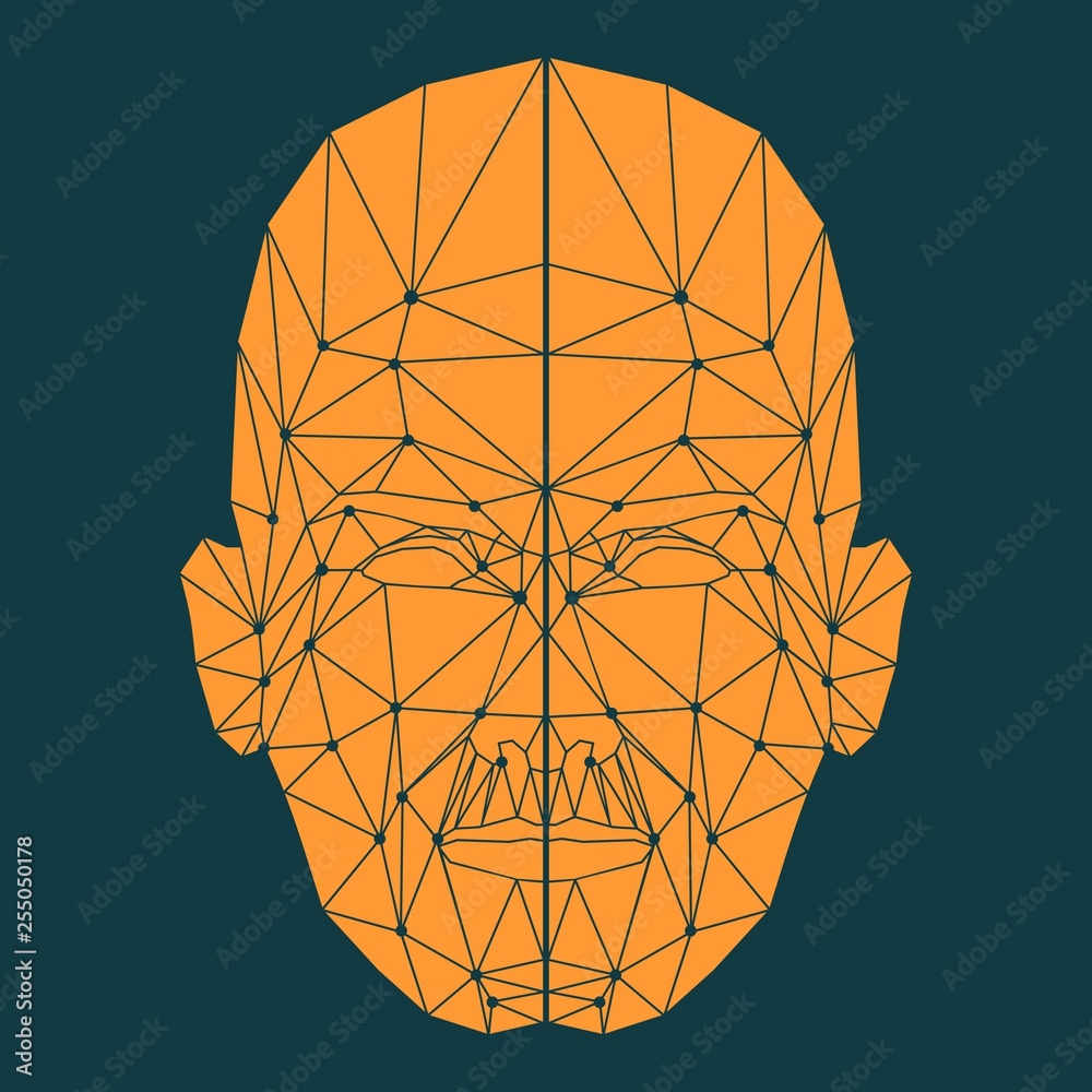 Wall mural human face low polygon. wireframe mash head shape consisting of connected dots and lines. abstract h