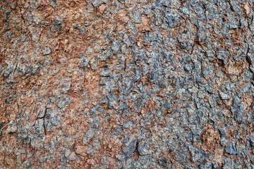wooden texture background