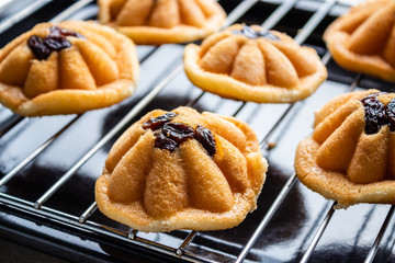 Khanom Khai or mini castella cake with raisin, a Thai sweetmeat made with egg and sugar