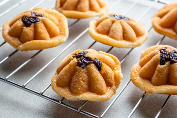 Khanom Khai or mini castella cake with raisin, a Thai sweetmeat made with egg and sugar