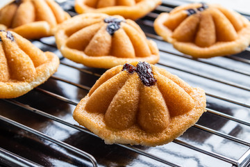 Khanom Khai or mini castella cake with raisin, a Thai sweetmeat made with egg and sugar