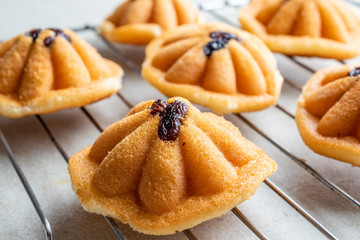 Khanom Khai or mini castella cake with raisin, a Thai sweetmeat made with egg and sugar