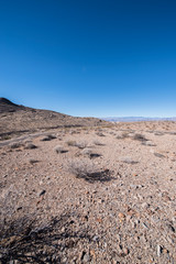 Mojave desert