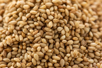 胡麻 クローズアップ