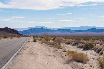 Road in the desert