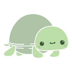 quirky hand drawn cartoon turtle