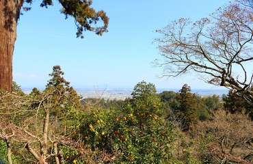 風景　太平山　春　午後　栃木