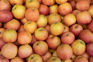 Apples at Fruit Market