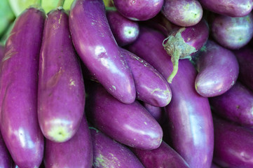 Egglant at Vegetable Market