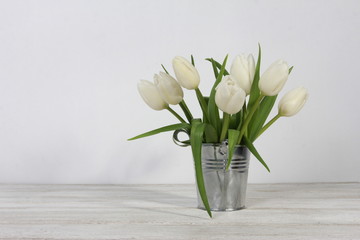 Bunch of white tulips in tin bucket on white wooden table. Spring concept. Springtime, women or mothers day, copy space, spring background
