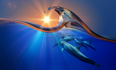 Wild dolphins under Vibrant sunset sea Water wave with copyspace blue background