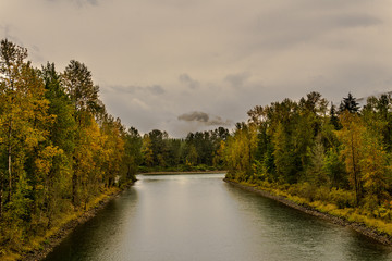 Fototapeta na wymiar baker river in a forest at autumn rainy day cloudy sky near Concrete Washington USA.