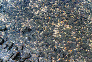 Wet Black Sea Stone Texture. Best for background. 