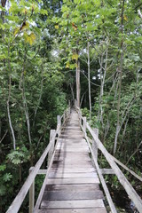 Plakat wooden bridge in forest