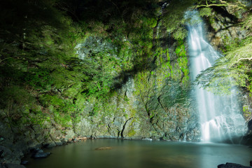 Beautiful Minoh waterfall with light up in summer.