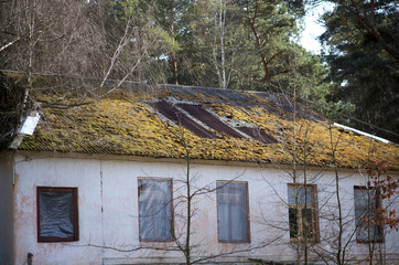 moss-covered roof. old abandoned house in the woods.