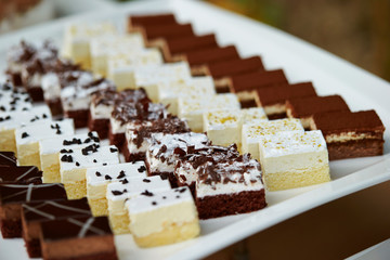 Petit four cake 