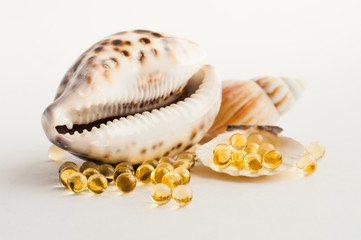 fish oil with shells